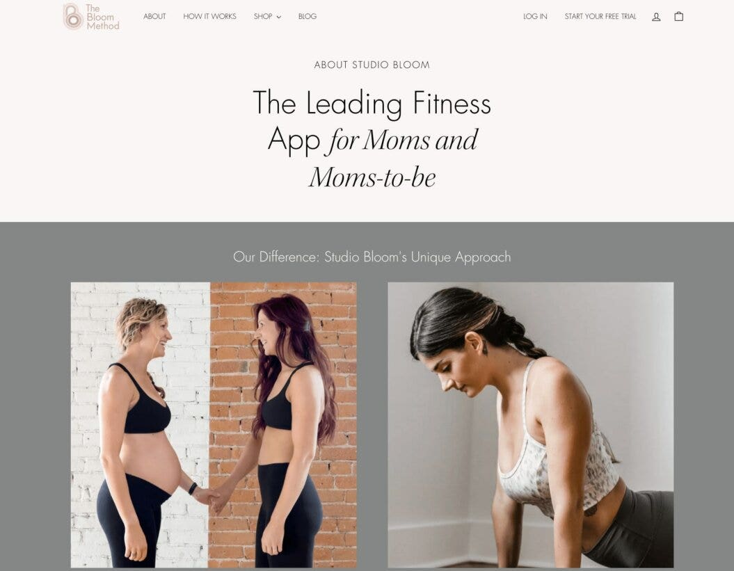 studio bloom about page