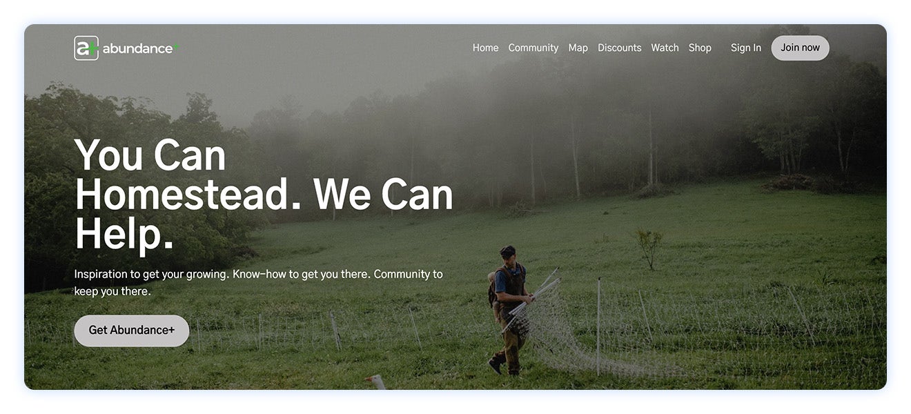 Abundance+ homepage