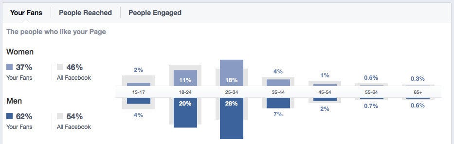 facebook audience analytics
