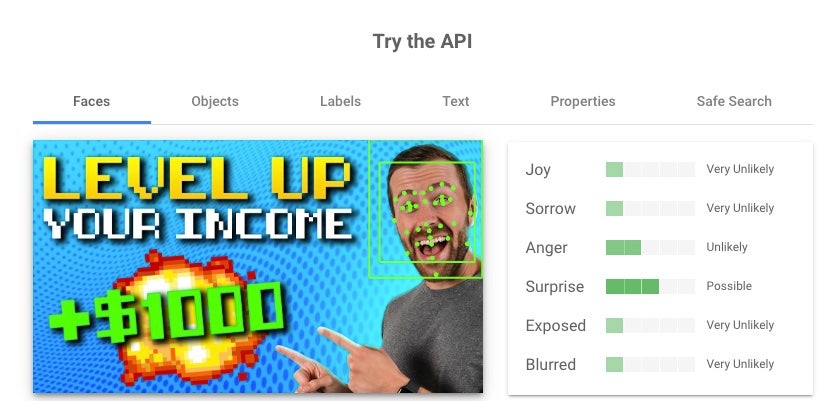A graphic shows how Google Vision's API works.