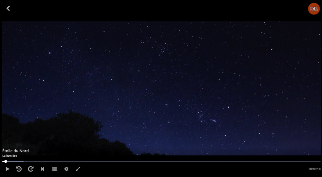 Brightcove video player sample