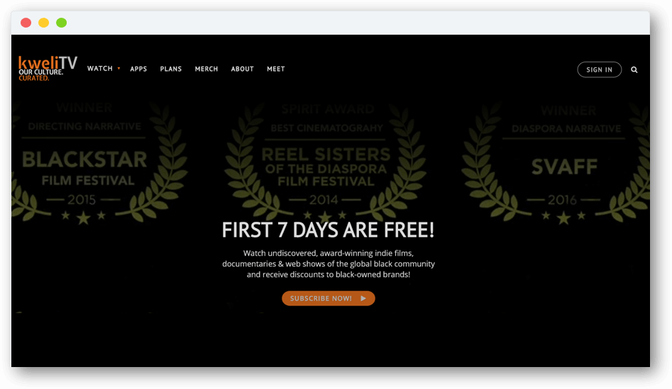 Kweli tv subscription model