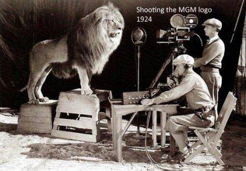 mgm behind the scenes