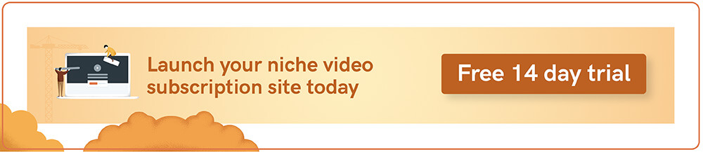 Niche video website CTA