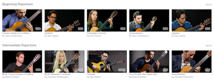 Elite Guitarist video subscription catalog