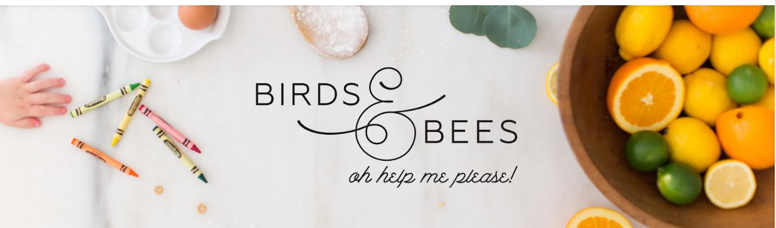 birds and bees banner