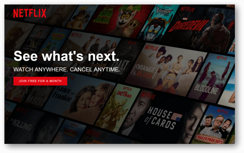 netflix sales page