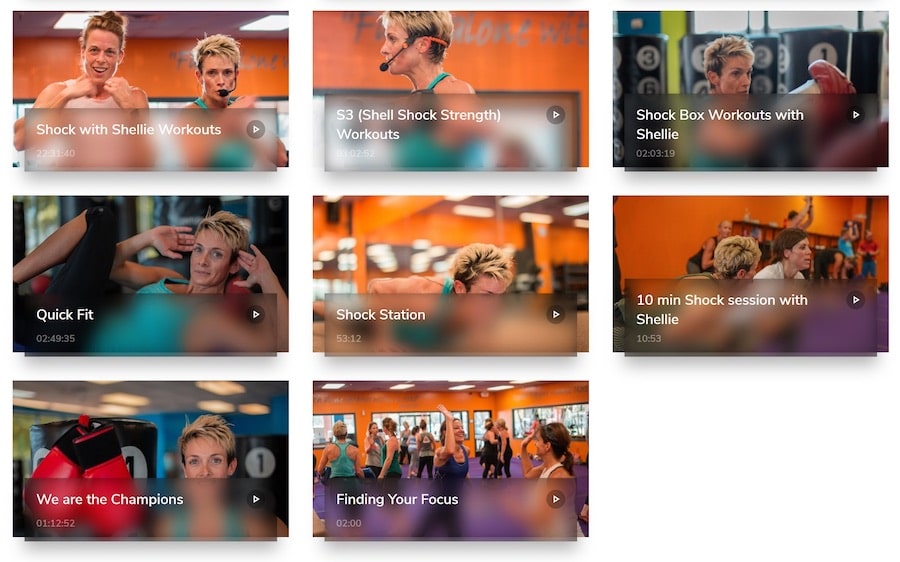 shell shock catalog
