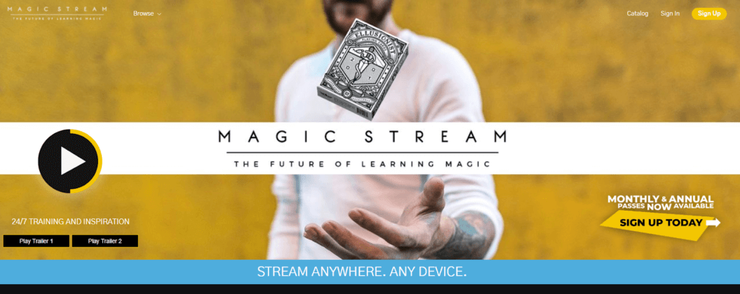 Academy elearning business model Magic Stream example 
