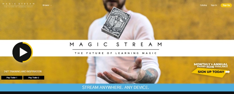 Magic Stream's online magic school platform