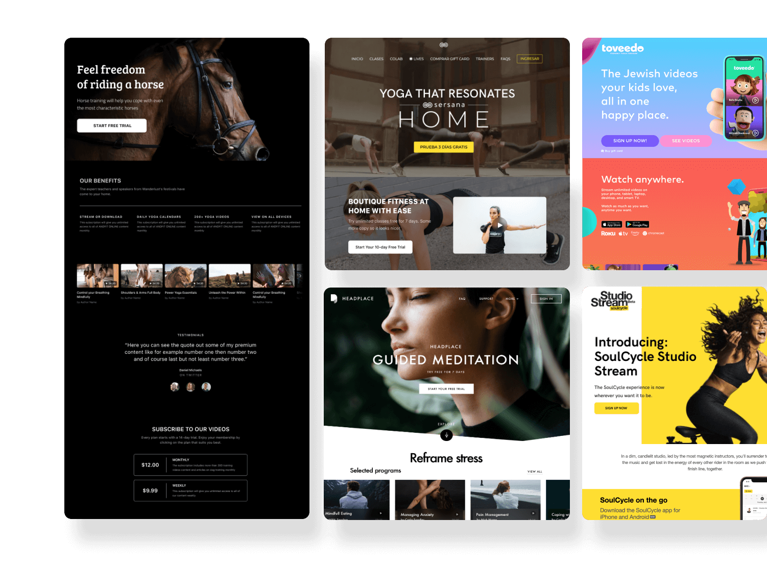 Video website themes and customizations