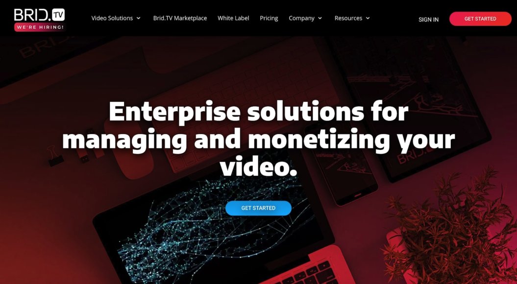 bridtv platform