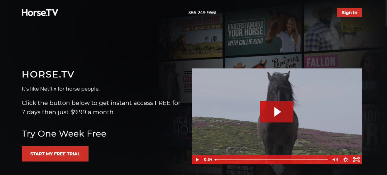 horse.tv membership website home page