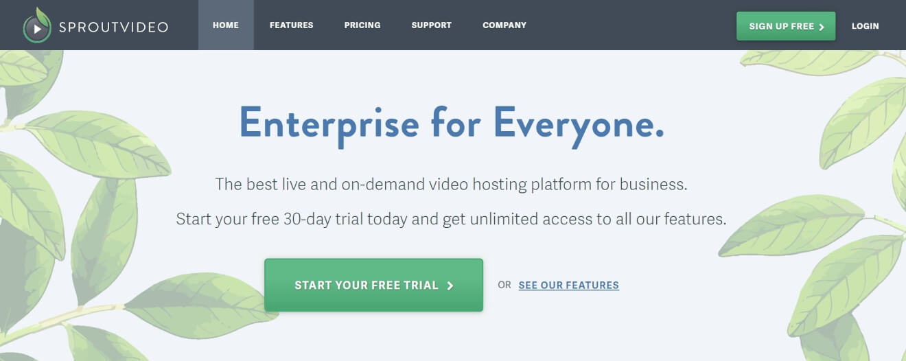 sprout video vod solution