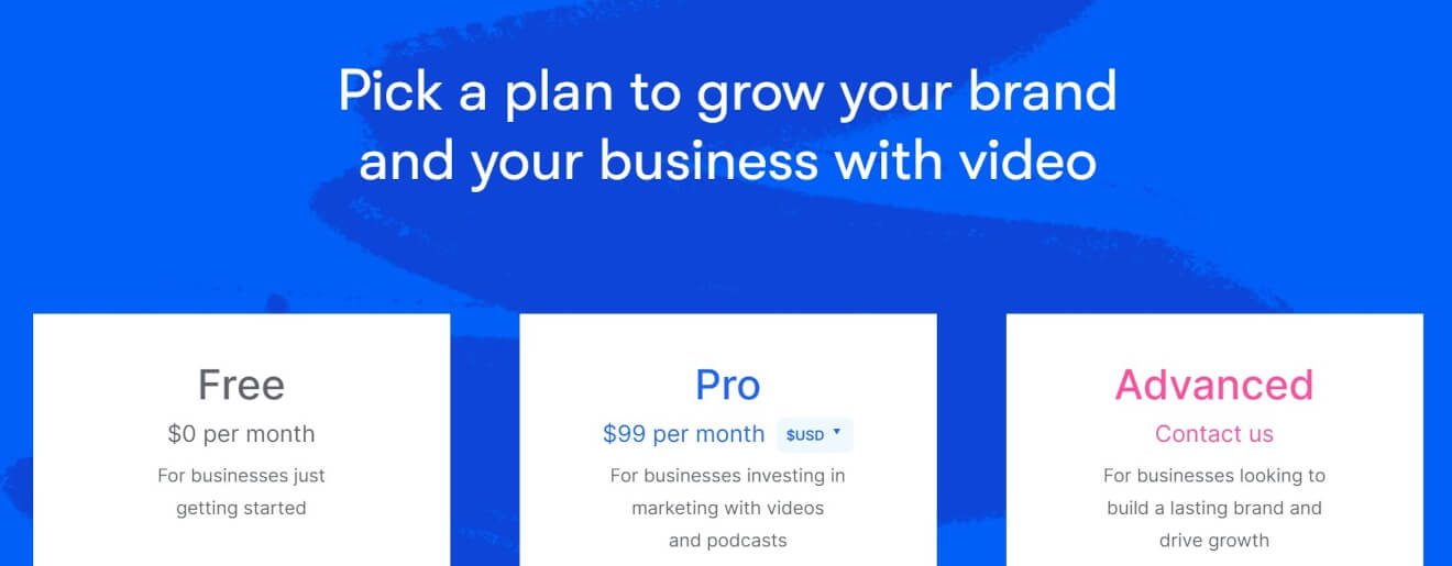 video on demand solution wistia pricing
