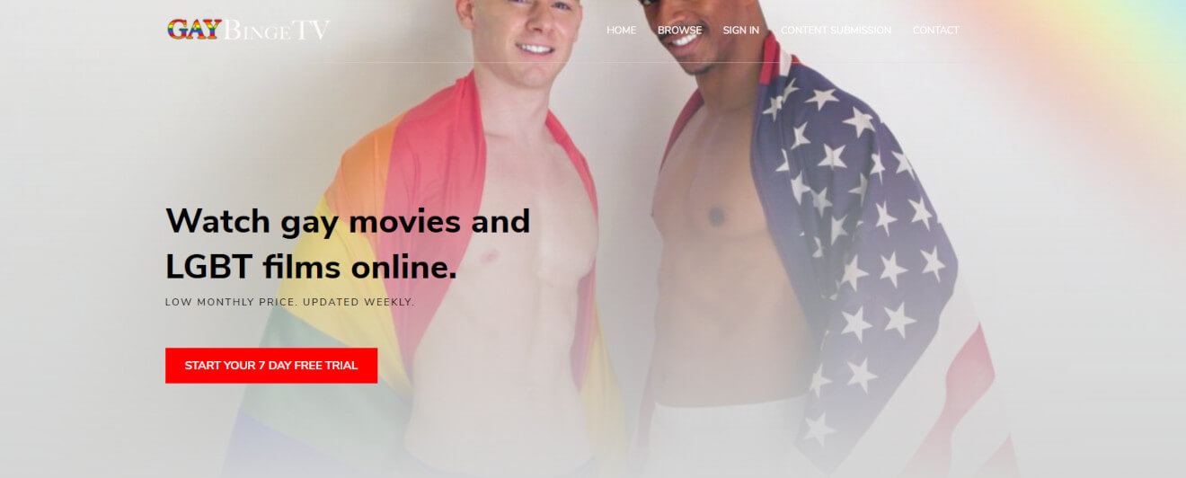 gaybingetv svod streaming service