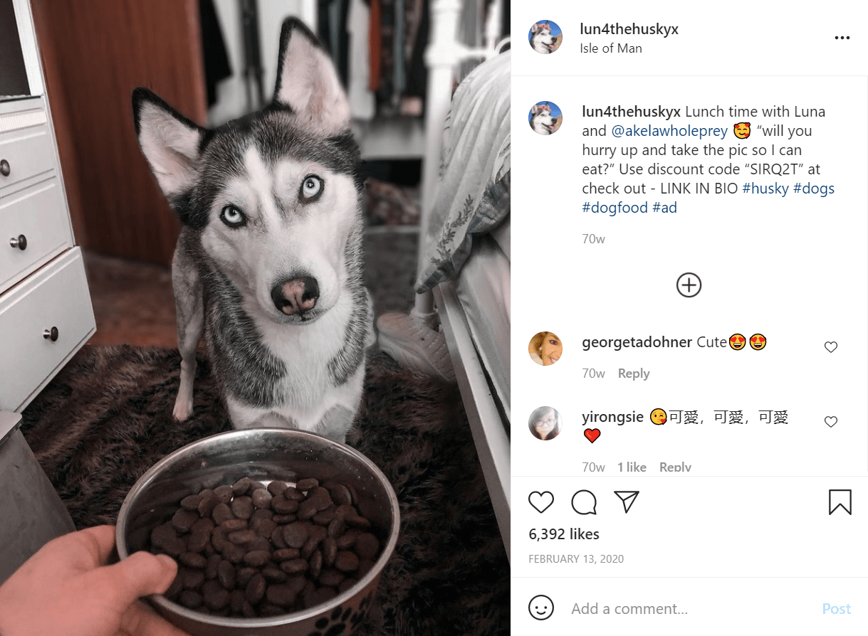 Luna Pet Instagram Influencer