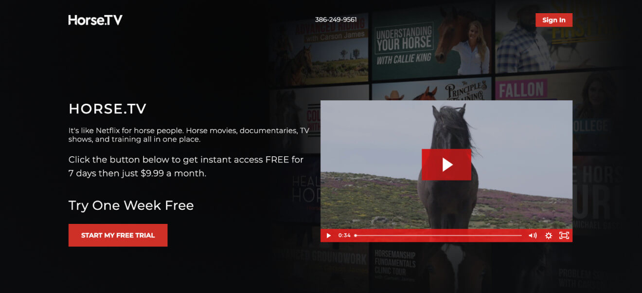 horse.tv landing page