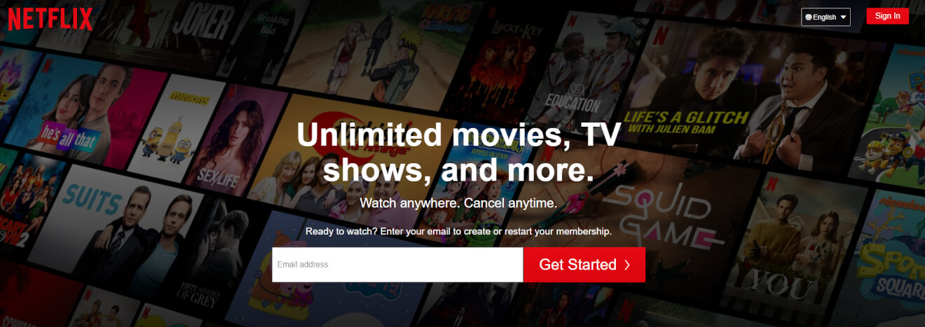 Netflix Video Paywall