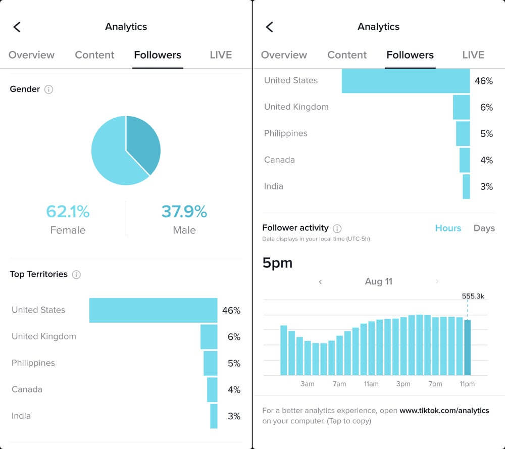 TikTok Audience Insight