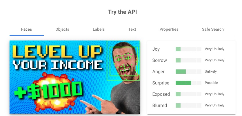 A graphic shows how Google Vision's API works.