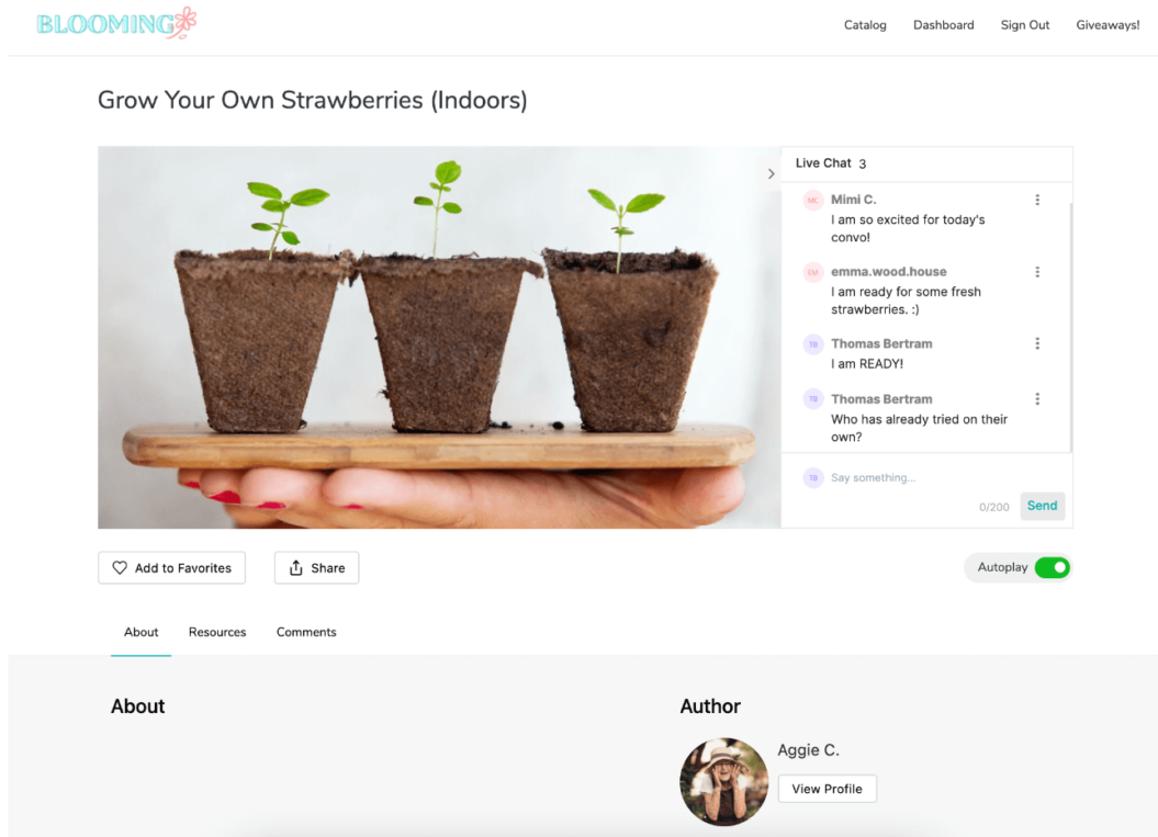 An image showing Blooming's website with a live streaming video about how to grow your own strawberries indoors - on the right side of the website, there is a live chat.