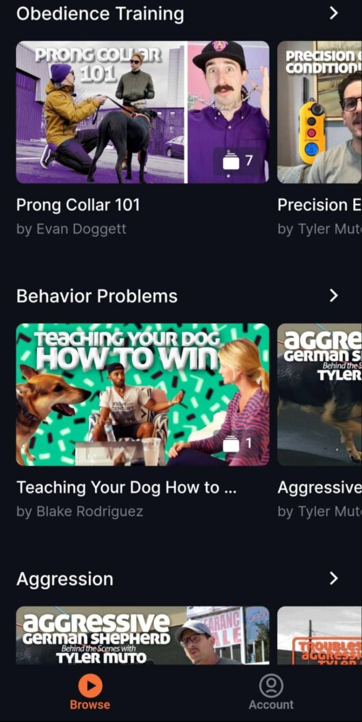 A screenshot shows how Uscreen enables its customers to have a Netflix-like content catalog.