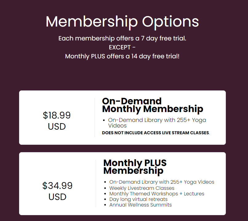A graphic shows multiple membership pricing strategies.