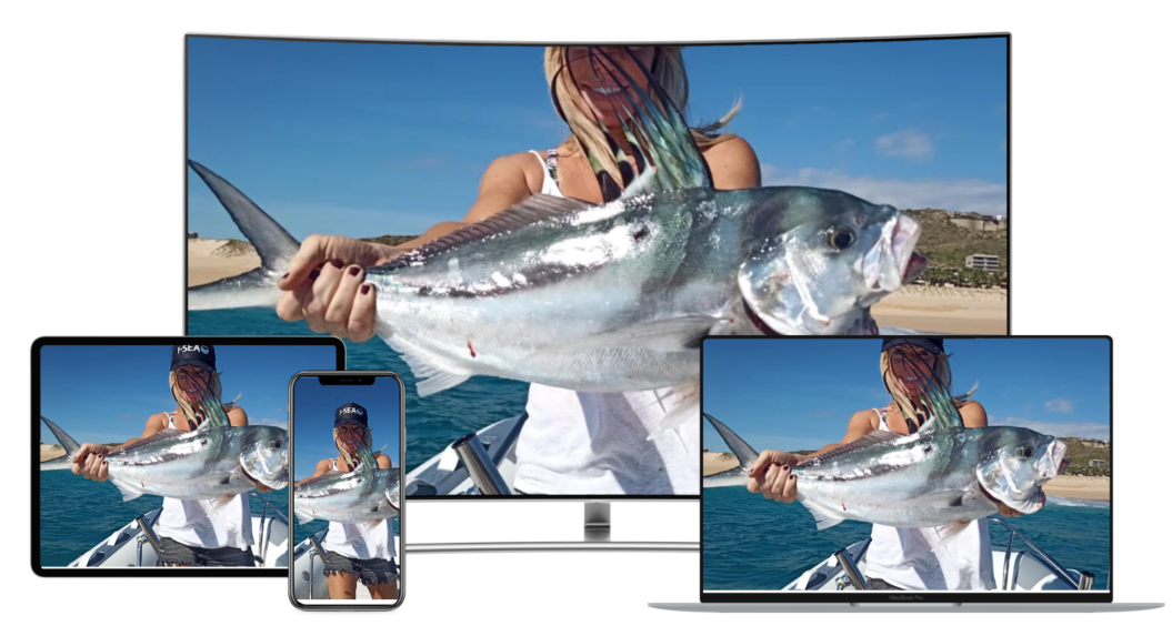 Your Saltwater guide on Uscreen