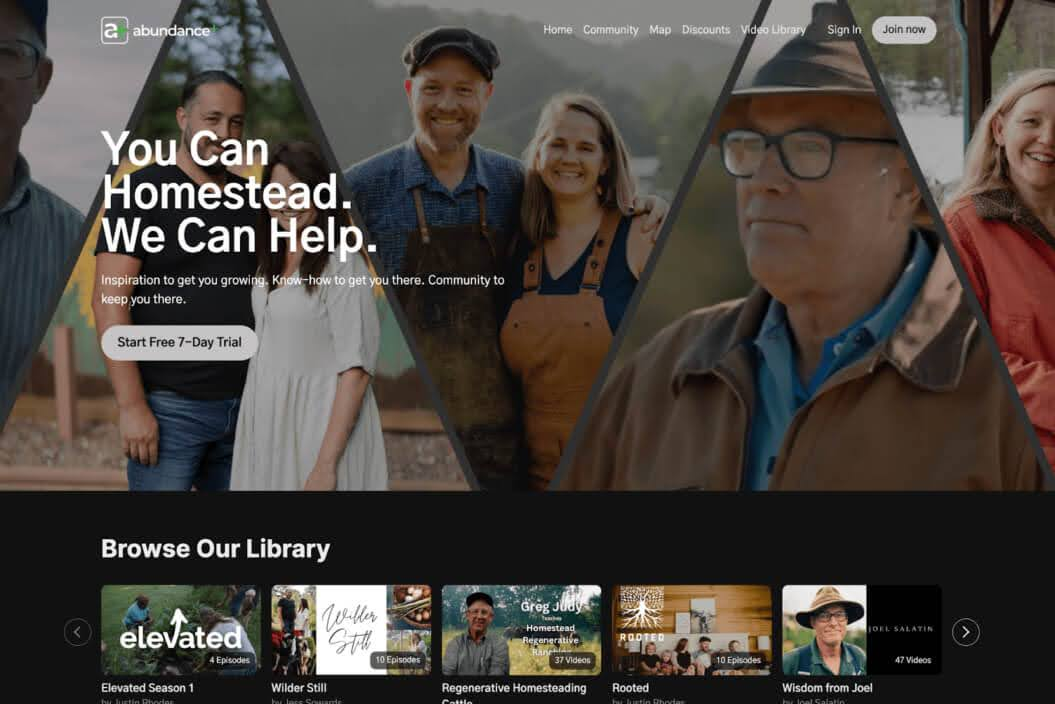 Screenshot of Abundance Plus hompage